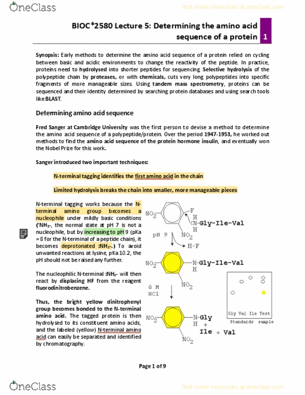 BIOC 2580 Lecture Notes - Lecture 5: Edman Degradation, Deprotonation, Hydrolysis thumbnail