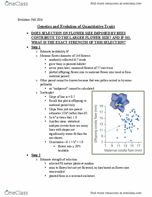 PCB 4674 Lecture Notes - Lecture 9: Scatter Plot, Heritability thumbnail