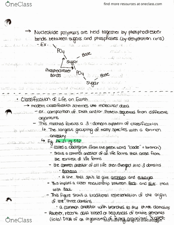 BIOL107 Lecture Notes - Lecture 2: Cell Wall, Peptidoglycan, Archaea thumbnail