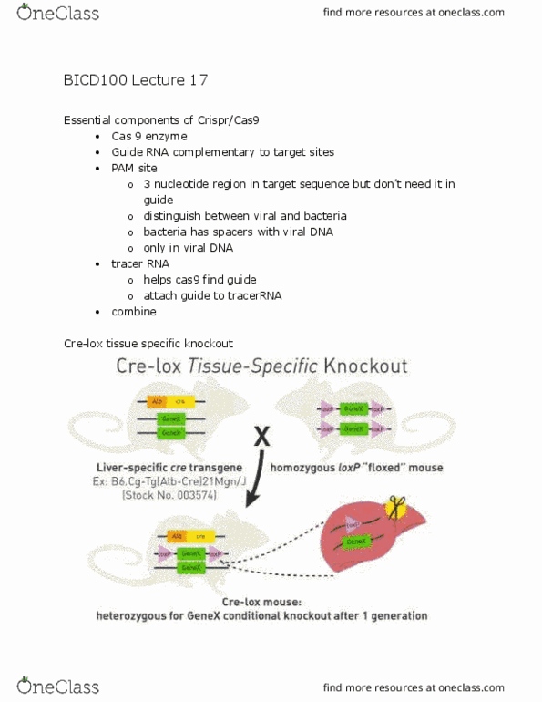 BICD 100 Lecture Notes - Lecture 17: Cas9, Comparative Genomics, Guide Rna thumbnail