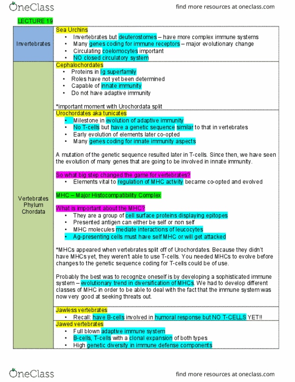 BLG 667 Lecture Notes - Lecture 19: Adaptive Immune System, White Blood Cell, Tunicate thumbnail