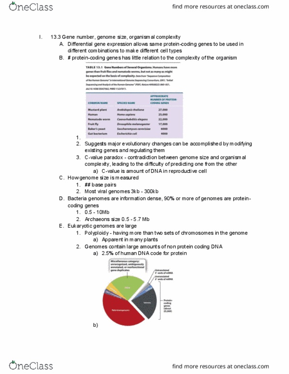 BIOL 14a Chapter Notes - Chapter 13.3-13.5: Dna Replication, Genome Size, Eukaryote thumbnail