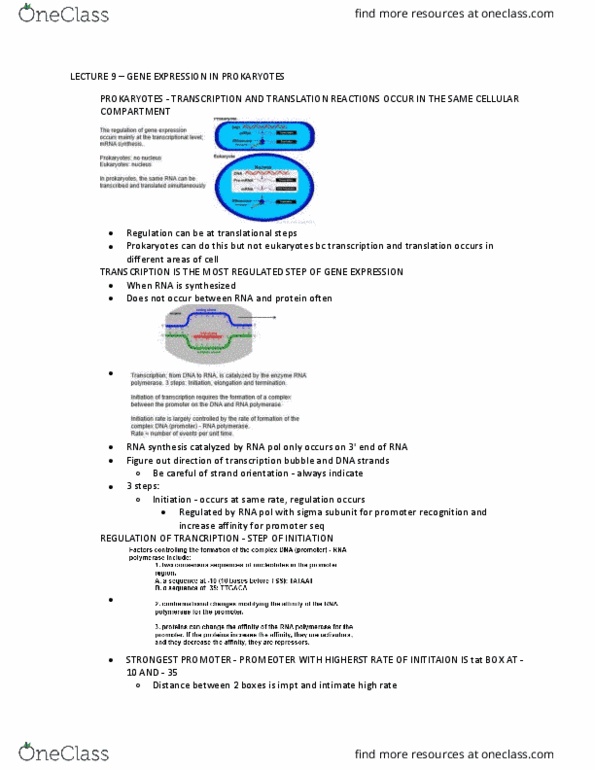 BIO 3170 Lecture Notes - Lecture 9: Lac Repressor, Lac Operon, Community Access Program thumbnail