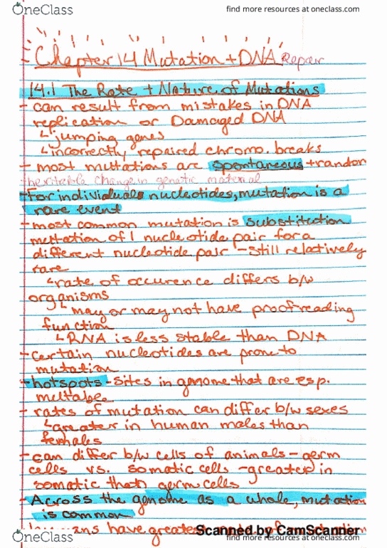 BIO-1801 Chapter 14.1-14.4: Chapter 14 Mutation and DNA Repair, Small and large scale mutations, DNA Damage and Repair thumbnail