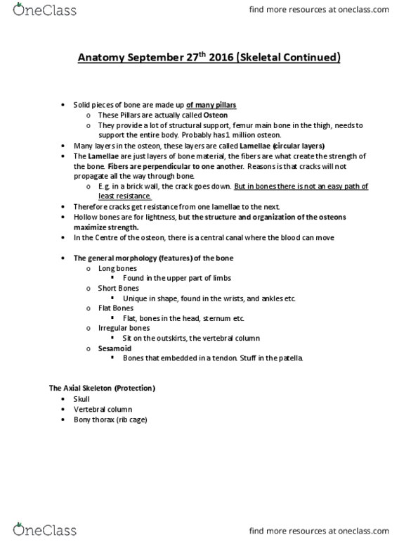Kinesiology 2222A/B Lecture Notes - Lecture 8: Sagittal Suture, Coronal Suture, Frontal Suture thumbnail