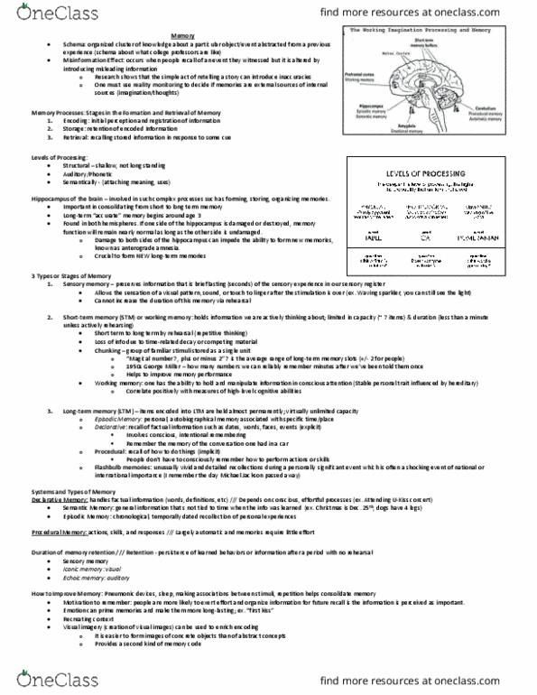 PSY 209 Lecture Notes - Lecture 7: Long-Term Memory, Short-Term Memory, Anterograde Amnesia thumbnail