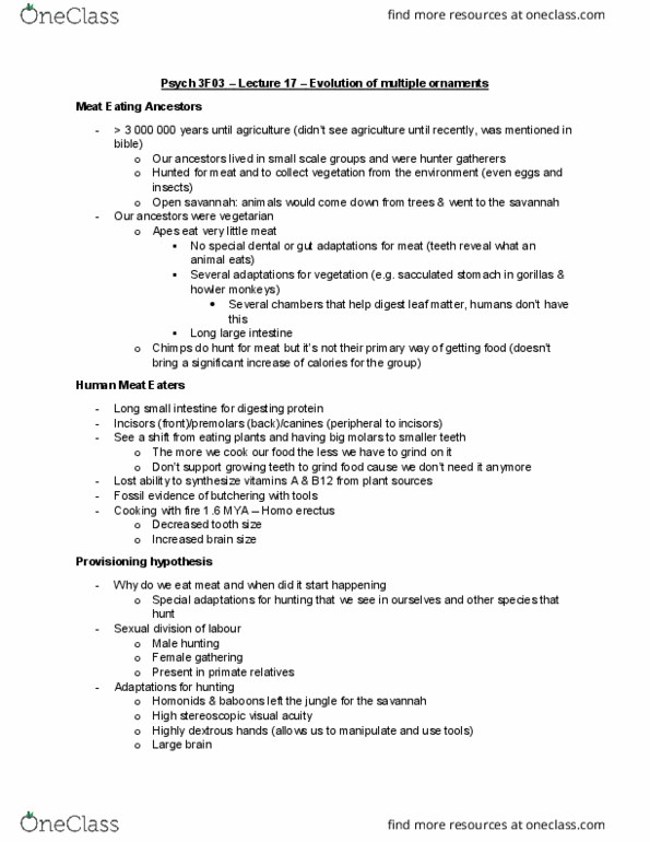 PSYCH 3F03 Lecture Notes - Lecture 17: Digging Stick, Homo Erectus, Hadza People thumbnail