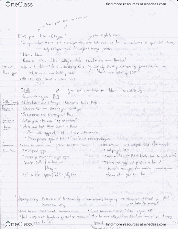 BIOL 113 Lecture 2: Epithelial Tissue Part 3 thumbnail