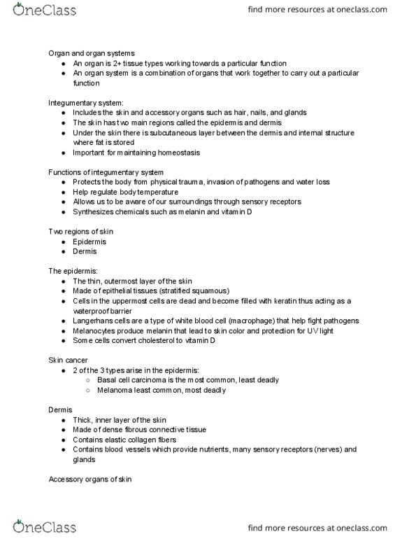 HSCI 100 Lecture Notes - Lecture 6: Basal-Cell Carcinoma, Integumentary System, Skin Cancer thumbnail