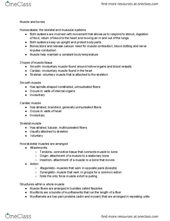 HSCI 100 Lecture Notes - Lecture 7: Bone Marrow, Myocyte, Skeletal Muscle thumbnail