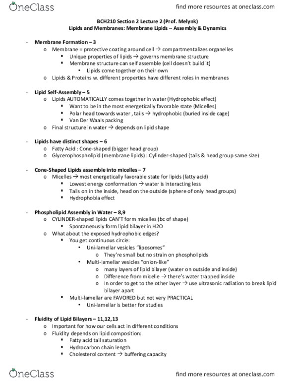 BCH210H1 Lecture Notes - Lecture 14: Flippase, Cell Membrane, Cholesterol thumbnail