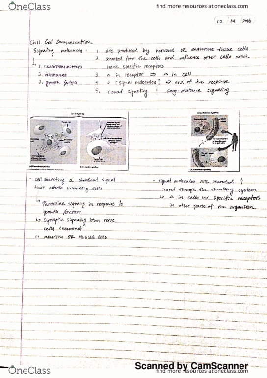 BIOL 101 Lecture 20: Ch11 - Cell Communication thumbnail