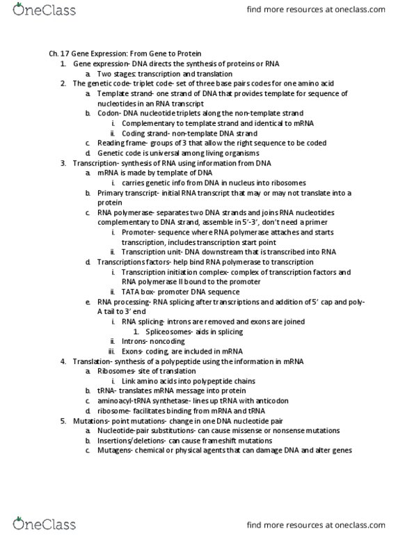 BIL 150 Chapter Notes - Chapter 17: Gene Expression, Coding Strand, Primary Transcript thumbnail