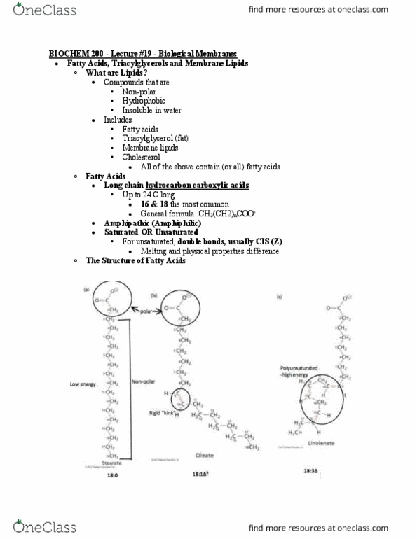 BIOCH200 Lecture Notes - Lecture 19: Adipocyte, Membrane Lipids, Glycerol thumbnail