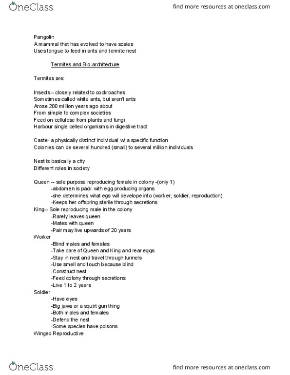 BIO 105 Lecture Notes - Lecture 11: Mound-Building Termites, Pangolin, Termite thumbnail