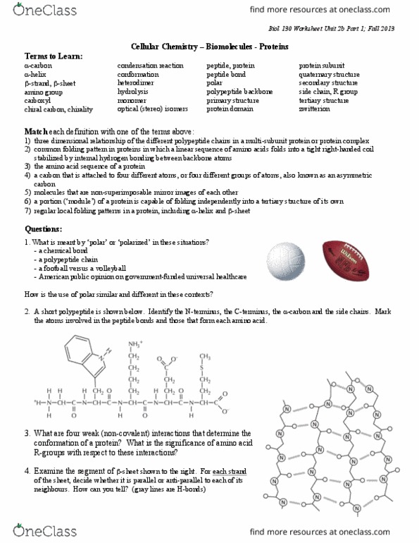 BIOL130 Lecture Notes - Lecture 5: Chemical Bond, Zwitterion, Universal Health Care thumbnail