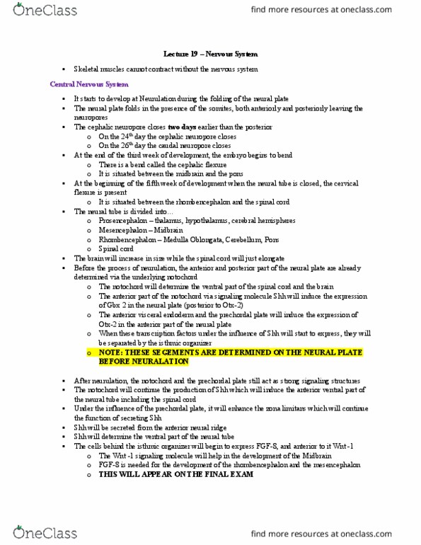 BIO380H5 Lecture Notes - Lecture 19: Cephalic Flexure, Neural Tube, Cerebellum thumbnail