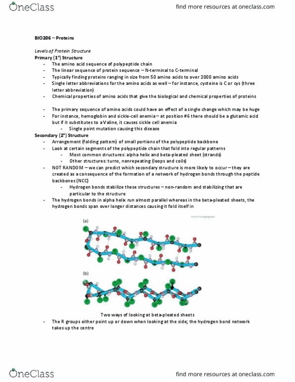 BIO206H5 Lecture Notes - Lecture 4: Protein Folding, Hydrophile, Hemoglobin thumbnail