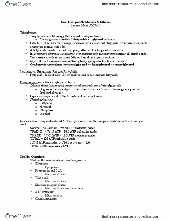 BCMB 3100 Lecture Notes - Lecture 18: Amphiphile, Glycolysis, Saturated Fat thumbnail