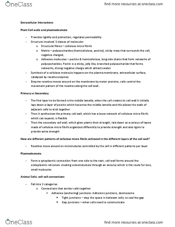 BIO 1140 Lecture Notes - Lecture 3: Integrin, Endoplasmic Reticulum, Cartilage thumbnail