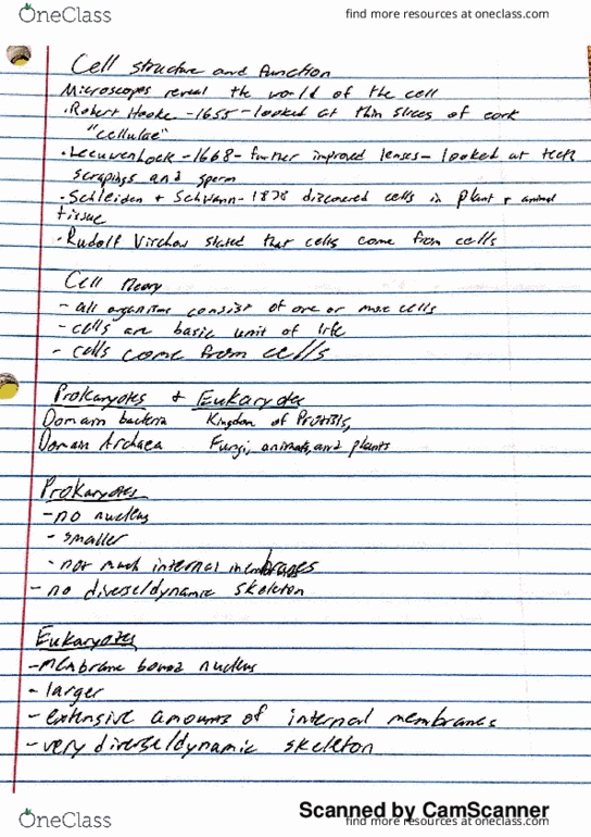 BIOL 107 Lecture 3: Cell Structure & Function thumbnail