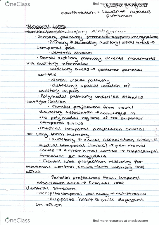 PSYCO377 Lecture 14: Temporal Lecture Notes thumbnail