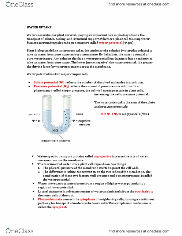 BIOL 220 Lecture Notes - Lecture 1: Starch, Cyanobacteria, Photophosphorylation thumbnail
