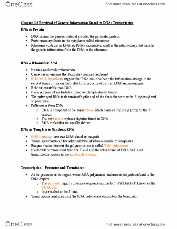BIOLOGY 151 Chapter Notes - Chapter 3.3: Pyrophosphate, Base Pair, Ribonucleotide thumbnail