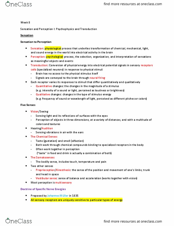 PSYC 100 Lecture Notes - Lecture 8: Afferent Nerve Fiber, Retina, Wilhelm Wundt thumbnail