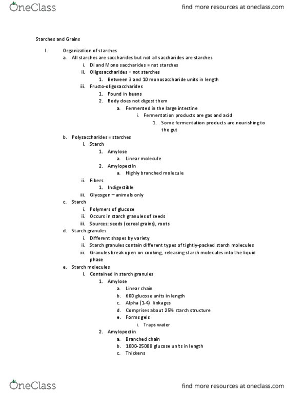NUTR 340 Lecture Notes - Lecture 11: Carbohydrate, Endosperm, Retrogradation thumbnail