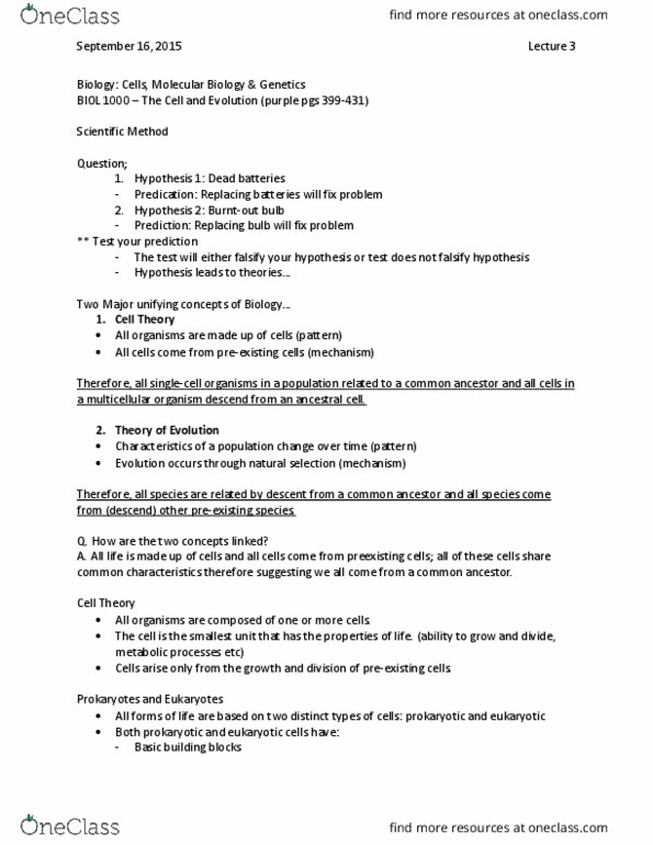 BIOL 1000 Lecture Notes - Lecture 3: Chemotroph, Ribose, Alpha Helix thumbnail