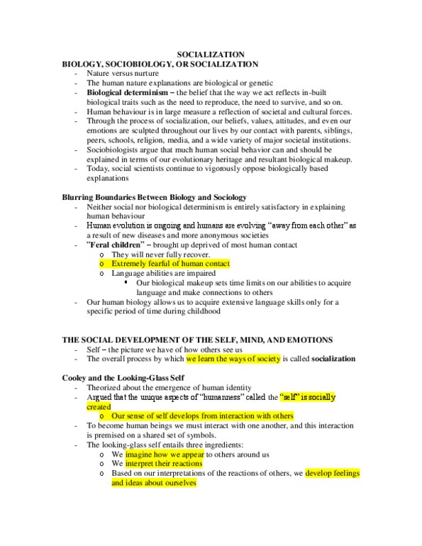 SY101 Chapter : 4 - Socialization thumbnail