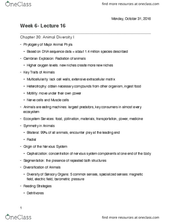 LIFESCI 1 Lecture Notes - Lecture 16: Mesoderm, Ectoderm, Ecdysozoa thumbnail