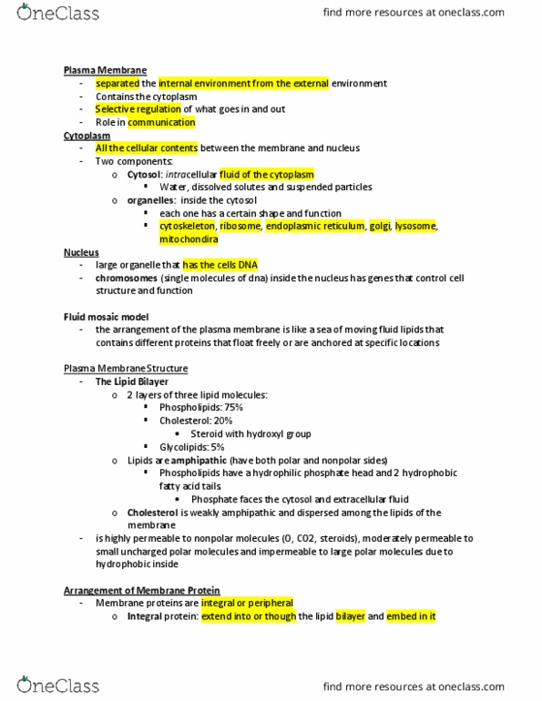 ANAT 101 Lecture 3: ch 3 anatomy thumbnail