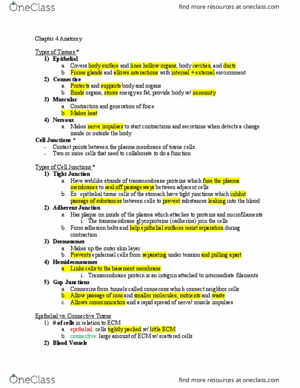 ANAT 101 Lecture Notes - Lecture 4: Perichondrium, Pericardium, Ultimate Tensile Strength thumbnail