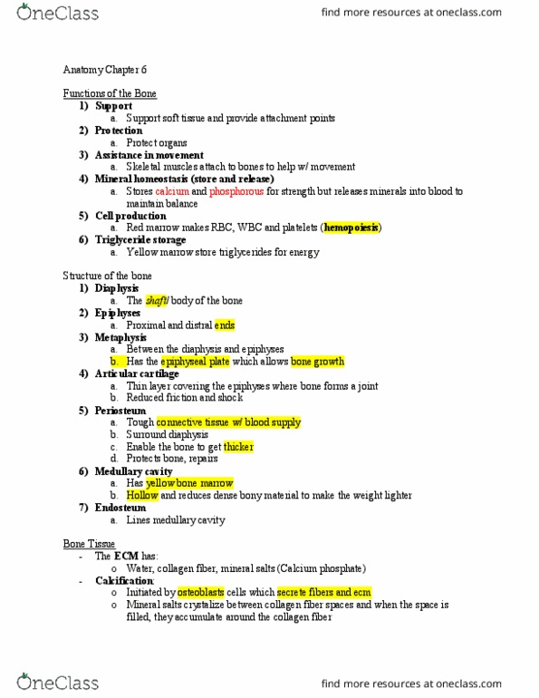 ANAT 101 Lecture Notes - Lecture 6: Chondroblast, Surface 3, Calcitriol thumbnail