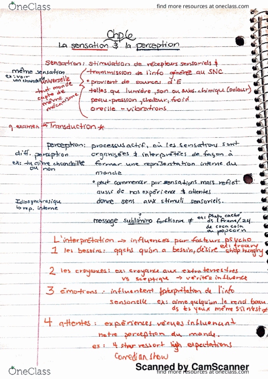 PSY 1501 Lecture 1: La sensation & la perception thumbnail