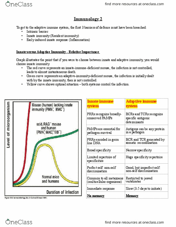 HTHSCI 2FF3 Lecture Notes - Lecture 7: Immunoglobulin Light Chain, T Helper Cell, Co-Stimulation thumbnail