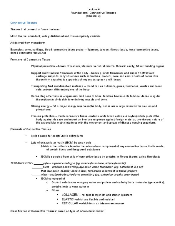 BIOB34H3 Lecture Notes - Myocyte, Synovial Fluid, Synovial Joint thumbnail