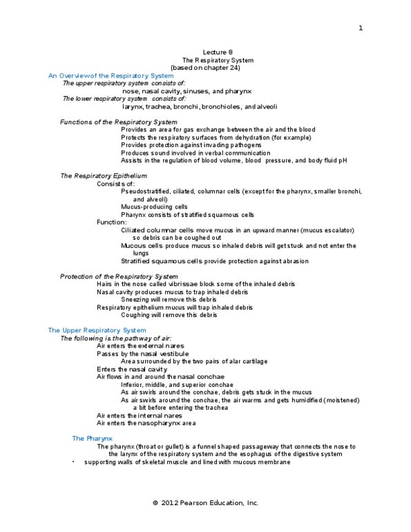 BIOB33H3 Lecture Notes - Lecture 8: Bronchopulmonary Segment, Breathing, Pearson Education thumbnail