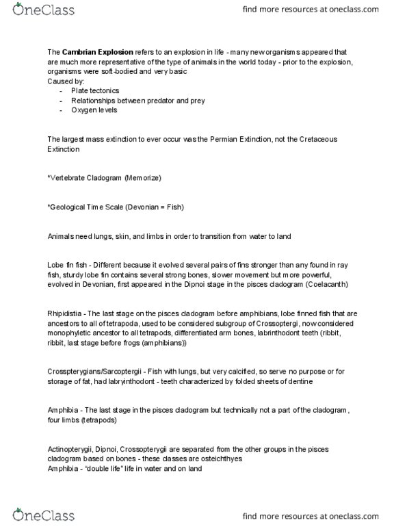 01:119:160 Lecture Notes - Lecture 1: Lepospondyli, Ichthyostegalia, Notochord thumbnail