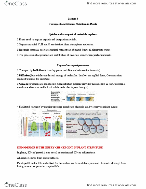 BIOL 111 Lecture Notes - Lecture 9: Transpiration, Phloem, Semipermeable Membrane thumbnail