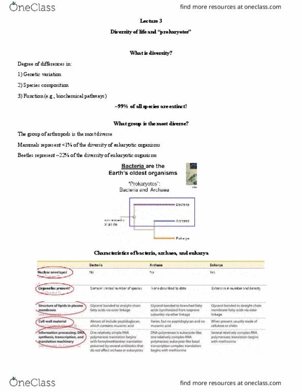 BIOL 111 Lecture Notes - Lecture 3: Homeostasis, Heterotroph, Aerotolerant Anaerobe thumbnail