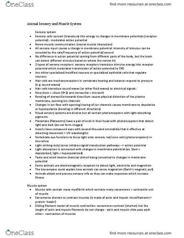 BISC 101 Lecture Notes - Lecture 15: Troponin, Cooperative Binding, Active Transport thumbnail