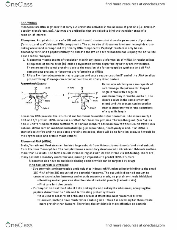 Biochemistry 3382A Lecture Notes - Lecture 9: Lac Operon, Lac Repressor, Catabolite Repression thumbnail