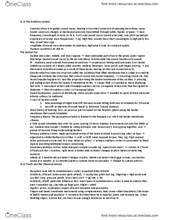 PSYA01H3 Chapter Notes - Chapter 4 (p.2): Basilar Membrane, Incus, Auditory Cortex thumbnail