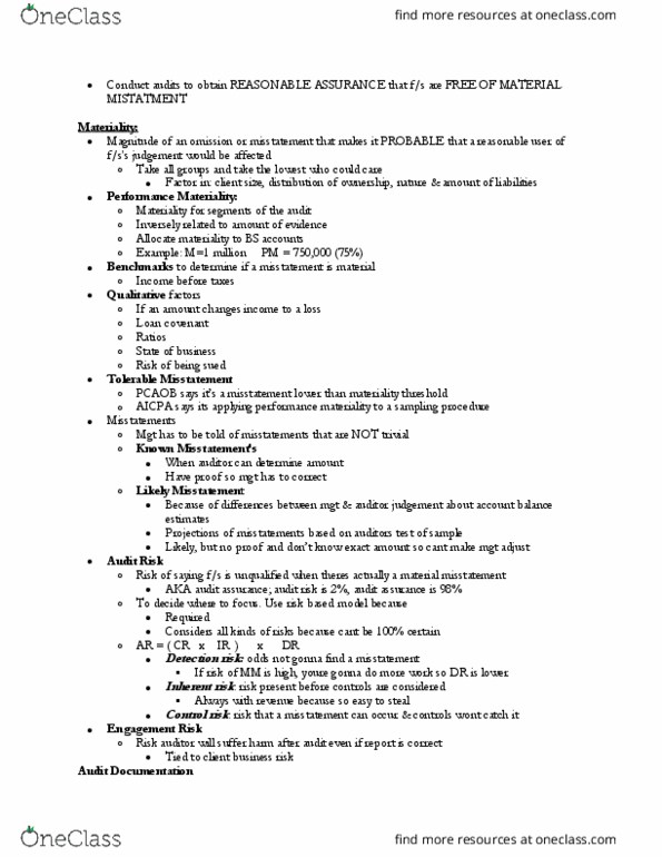ACIS 4414 Chapter Notes - Chapter 12-14: Audit Risk thumbnail
