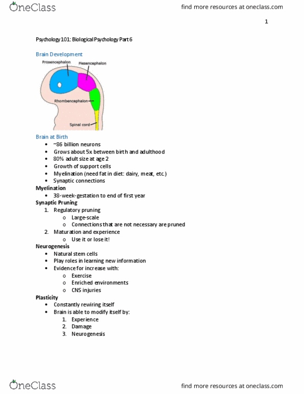 PSYC 101 Lecture Notes - Lecture 17: Acetylcholine, Epigenetics, Neurotransmitter thumbnail