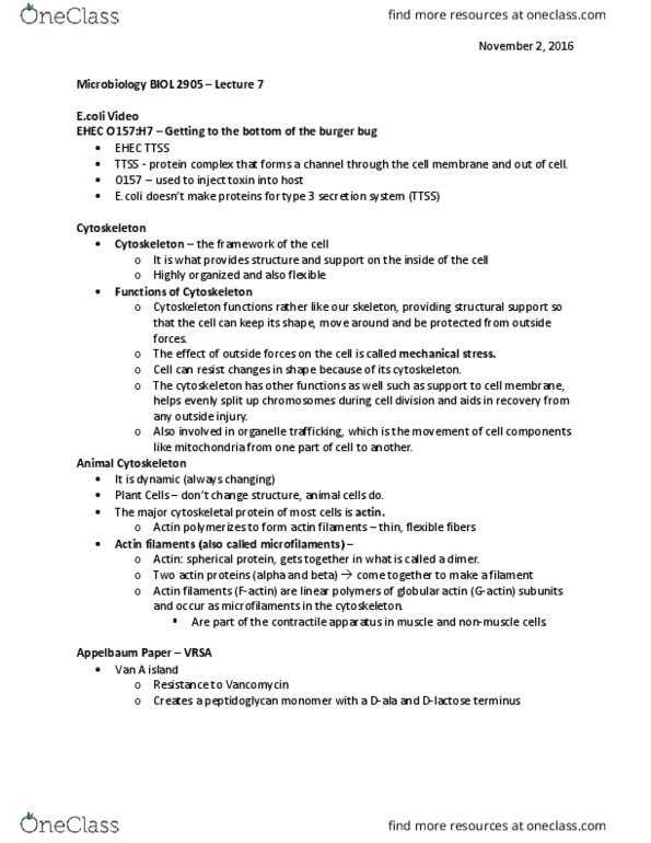 BIOL 2905 Lecture Notes - Lecture 7: Cloning, Glycogen, Plasmid thumbnail