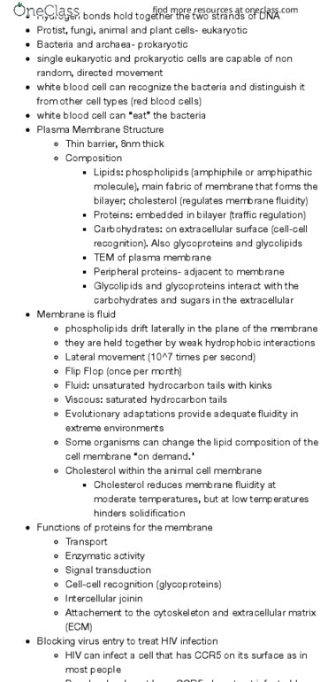 BIO SCI 93 Lecture Notes - Lecture 5: Maraviroc, Cytoskeleton, Endoplasmic Reticulum thumbnail